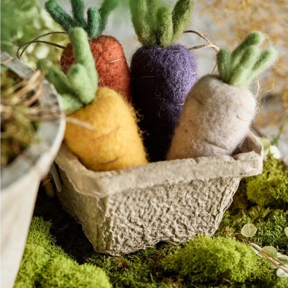 Felt Carrot Decor Set